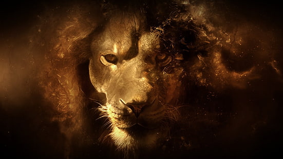 carta da parati leone maschio, leone, animali, arte digitale, Sfondo HD HD wallpaper