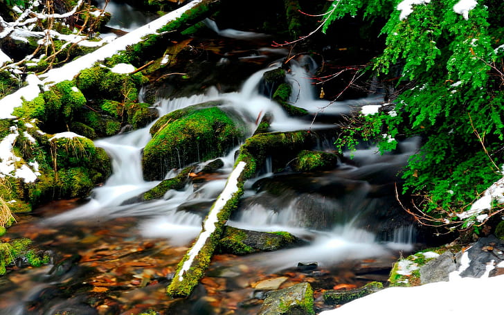 Замедленная съемка лесной поток Снег Мосс HD, река замедленная съемка, природа, снег, лес, замедленная съемка, поток, мох, HD обои
