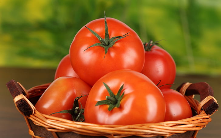 Домати, партида домати, фотография, 2560x1600, домат, HD тапет