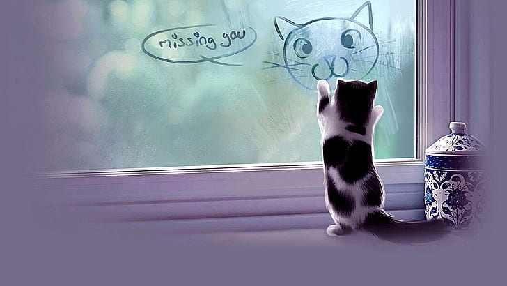 кот, котенок, окно, туман, скучаю по тебе, скучаю по тебе, туманно, пиши, рисунок, мило, HD обои