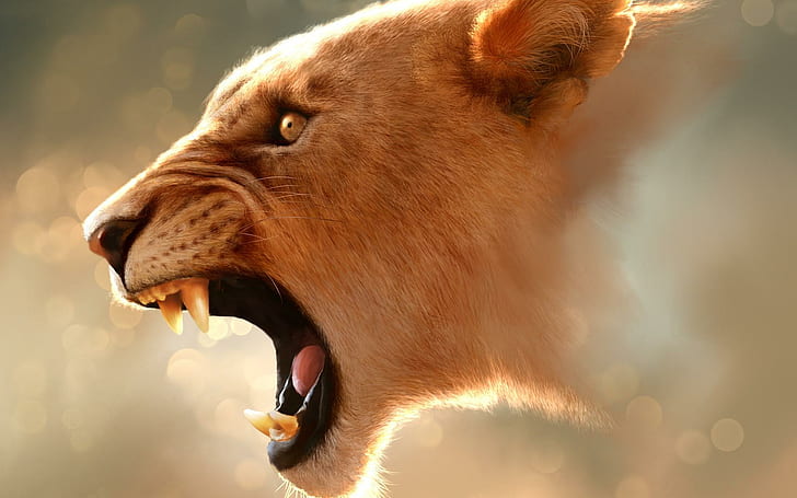 Angry, wild, angry, animal, fast, animals, HD wallpaper