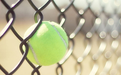 Sport, Tennis, Ball, Tennisbälle, Zaun, Schärfentiefe, Sonnenlicht, HD-Hintergrundbild HD wallpaper