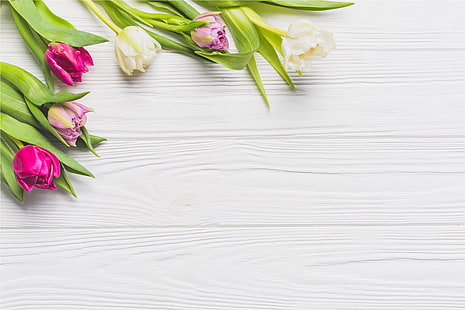  flowers, spring, colorful, tulips, Board, wood, pink, HD wallpaper HD wallpaper