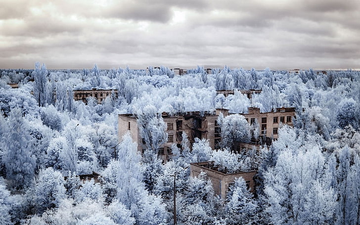 infrared, photography, Chernobyl, Ukraine, nature, landscape, trees, forest, clouds, abandoned, building, Pripyat, Vladimir Migutin, HD wallpaper
