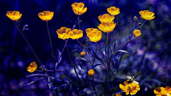 ดอกไม้สีเหลืองกับใบไม้สีเขียว, Buttercups, 4k, วอลล์เปเปอร์ 5k, ดอกไม้, สีเหลือง, สีม่วง, วอลล์เปเปอร์ HD
