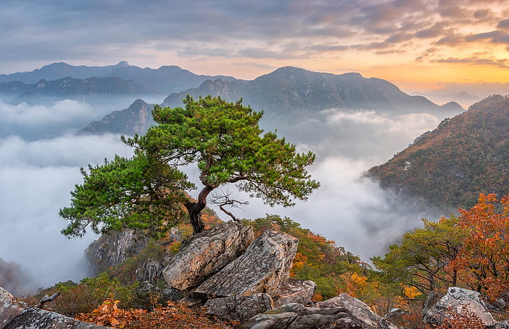 Ásia, Coréia do Sul, natureza, árvores, montanhas, rocha, paisagem, HD papel de parede