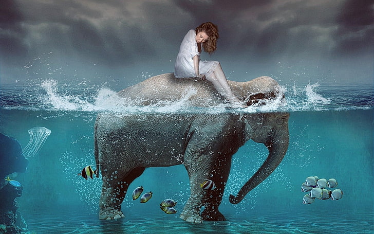 digitale Kunst, Elefant, Fisch, Meer, geteilte Ansicht, HD-Hintergrundbild