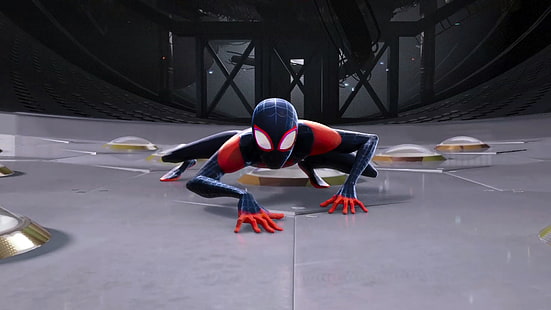 spiderman in the spider verse, 2018 филми, филми, spiderman, анимационни филми, hd, 4k, HD тапет HD wallpaper