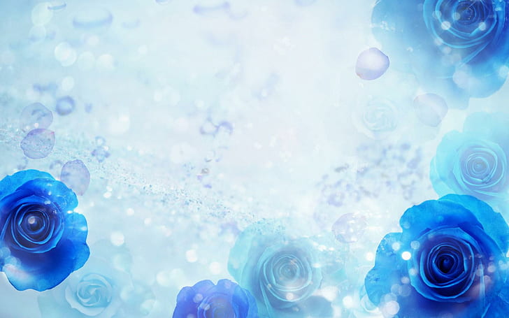Blue Roses, vector, water, abstract, flower, drops, blue, rose, rain, white, 3d and abstract, HD wallpaper