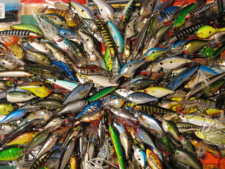 рыба рыбалка яркие цвета приманки рыболовные снасти 1280x960 животные рыбки HD Art, FISH, рыбалка, HD обои