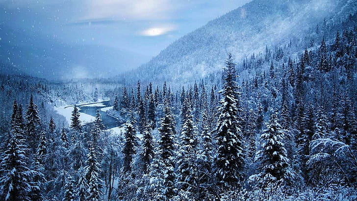 natura, paesaggio, nebbia, foresta, montagne, fiume, neve, inverno, freddo, Alaska, alberi, Sfondo HD