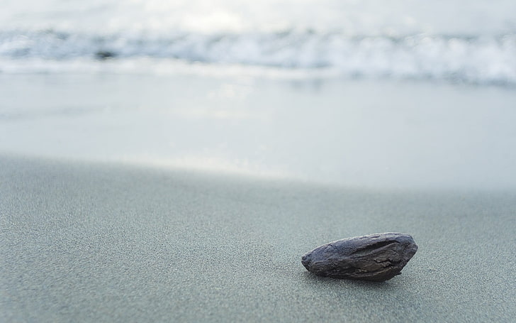 szary fragment kamienia na białej powierzchni, plaża, kamień, natura, piasek, woda, Tapety HD