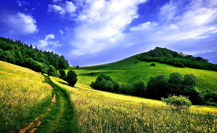 Красивые окрестности, зеленые деревья и холм, Природа, Пейзаж, Красивые, Окрестности, HD обои