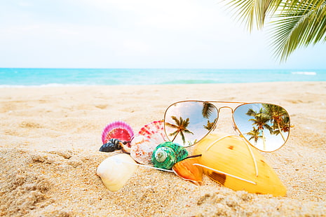 gold framed black lens Aviator-style sunglasses, sand, sea, beach, summer, palm trees, stay, glasses, shell, vacation, paradise, palms, tropical, sunglasses, seashells, HD wallpaper HD wallpaper