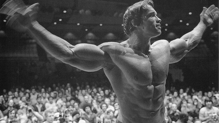 Arnold Schwarzenegger, kroppsbyggare, svartvit, HD tapet