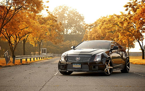 Cadillac CTS-V Trees Autumn HD, automobili, alberi, autunno, v, cadillac, cts, Sfondo HD HD wallpaper