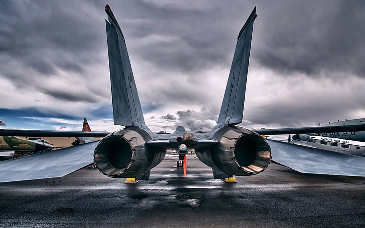 flugzeug jet fighter grumman f 14 tomcat, HD-Hintergrundbild