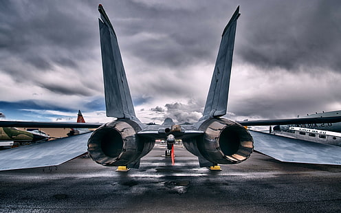 flugzeug jet fighter grumman f 14 tomcat, HD-Hintergrundbild HD wallpaper