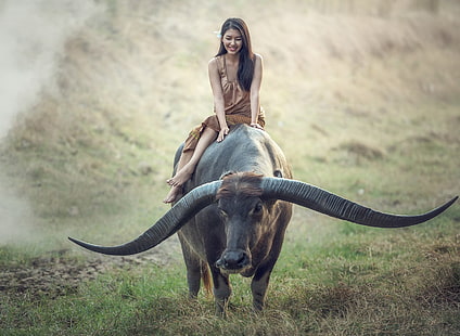 buffalo, farmers, Thailand, women, farm, people, HD wallpaper HD wallpaper