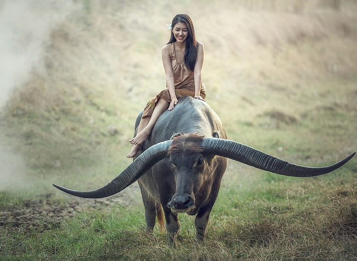 Thailand, people, women, buffalo, farmers, farm, HD wallpaper