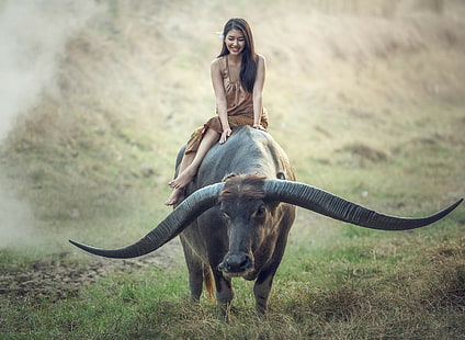 Thailand, people, women, buffalo, farmers, farm, HD wallpaper HD wallpaper