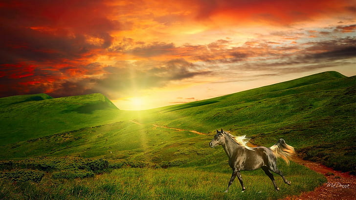 Coucher de soleil dans les collines, ranch, soirée, lumineux, cheval, coucher de soleil, pays, champ, pâturage, ferme, été, nuages, beau, Fond d'écran HD