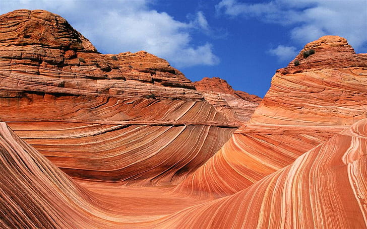 The Wave, Formasi Batuan Di North Coyote Buttes Di Utah Usa Wallpaper Hd, Wallpaper HD