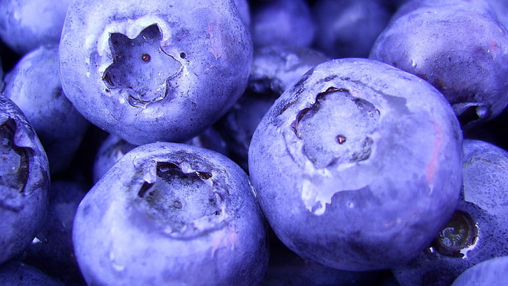 banyak blueberry, blueberry, berry, manis, Wallpaper HD