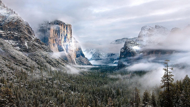 montaña de nieve, naturaleza, paisaje, montañas, nubes, Estados Unidos, invierno, mañana, bosque, niebla, roca, colinas, pinos, nieve, pico nevado, Parque Nacional de Yosemite, Fondo de pantalla HD