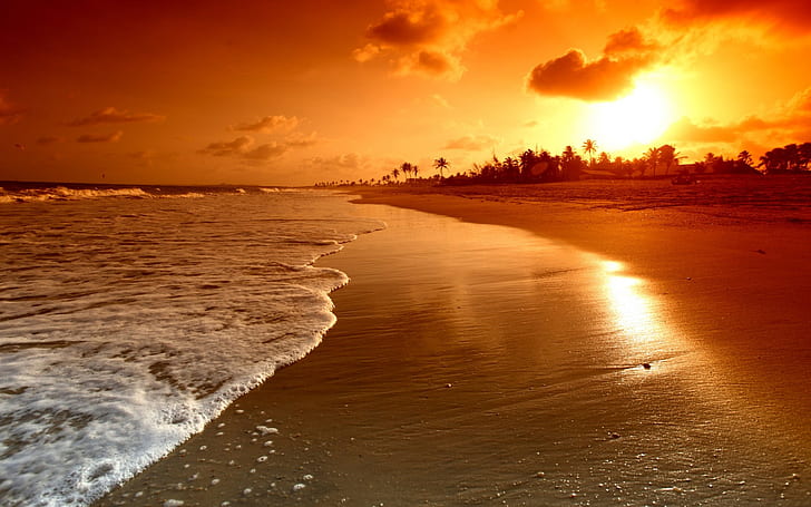 Sunrise Palms Sea Beautiful Nature Landscape Water Sky Clouds Scene Waves Beach Sunset 1920×1200, HD wallpaper