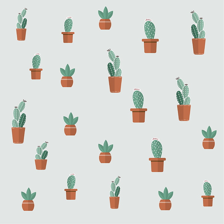 cacti, succulents, art, patterns, HD wallpaper