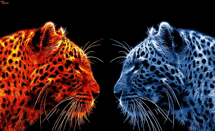 Fire Leopard vs Ice Leopard, duas chitas vermelhas e azuis, Aero, Preto, Leopard, Fire, HD papel de parede