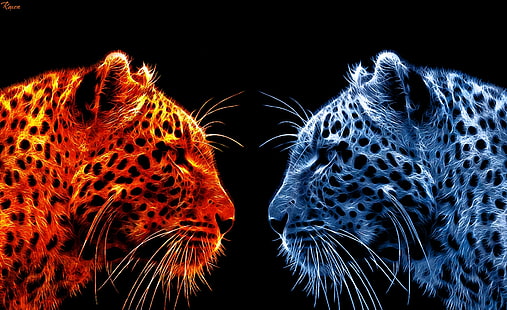 Fire Leopard vs Ice Leopard, two red and blue cheetahs, Aero, Black, Leopard, Fire, HD wallpaper HD wallpaper