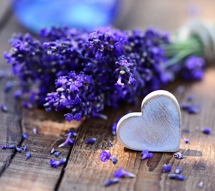 lila Blütenblatt Blume und weißem Holz Herz Dekor, Herz, Blumen, Lavendel, HD-Hintergrundbild