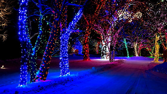 xmas, nature, christmas lights, light, lighting, tree, purple, night, christmas decoration, winter, christmas, snow, christmas tree, decor, event, HD wallpaper HD wallpaper