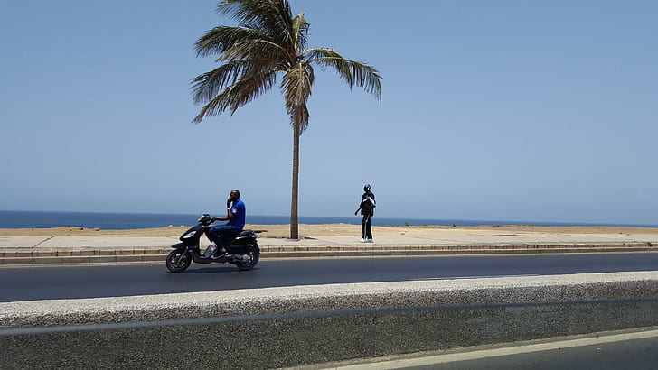 africa, beach, dakar, ocean, palm, palm tree, palm trees, palms, road, sea, senegal, HD wallpaper