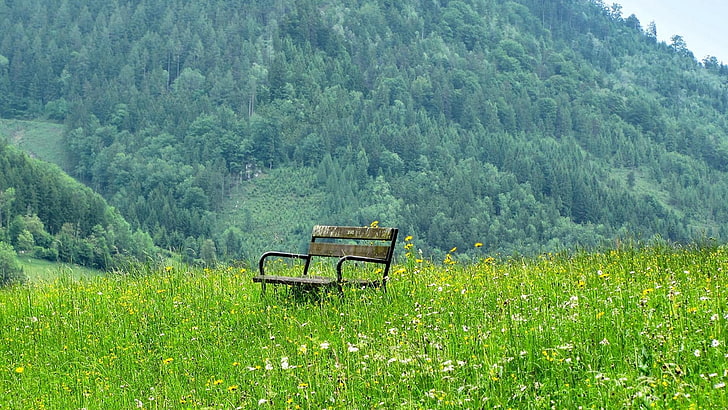 brown and black bench, bench, nature, grass, HD wallpaper