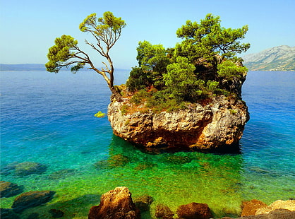 Punkt orientacyjny Breli, zielone drzewa liściaste, Europa, Chorwacja, Tapety HD HD wallpaper