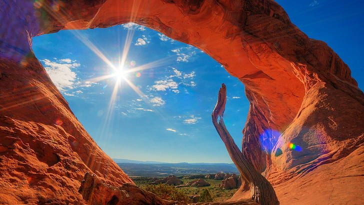 Rock Arch ในอุทยานแห่งชาติ Utah หินสีน้ำตาลหินต้นไม้ที่ตายแล้วซุ้มประตูธรรมชาติและภูมิทัศน์, วอลล์เปเปอร์ HD