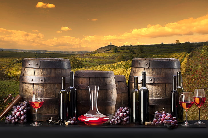 vino, uvas, botella, barriles, viñedos, Fondo de pantalla HD