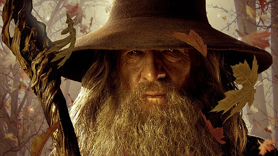 Fondo de pantalla del personaje de El señor de los anillos, Gandalf, El señor de los anillos, Ian McKellen, El hobbit, otoño, hojas, mago, películas, Fondo de pantalla HD HD wallpaper