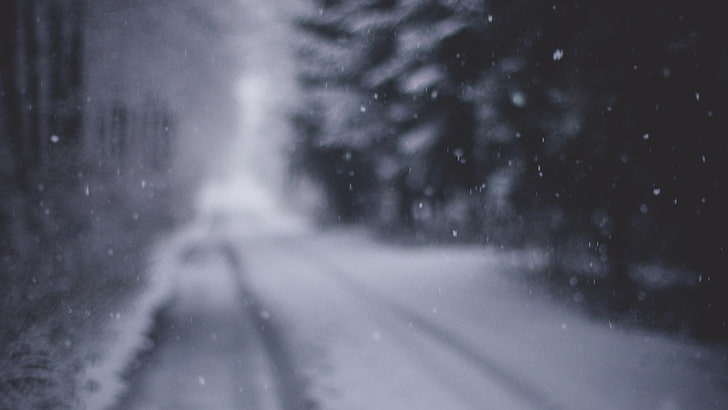 заснежен път през зимата, сняг, замъглено, зима, път, сняг, HD тапет
