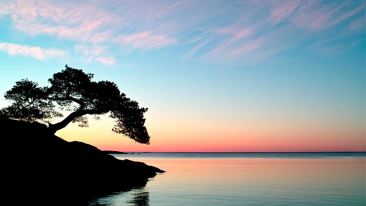 Silhouette des Baumes, Sonnenuntergang, Himmel, Bäume, Horizont, HD-Hintergrundbild