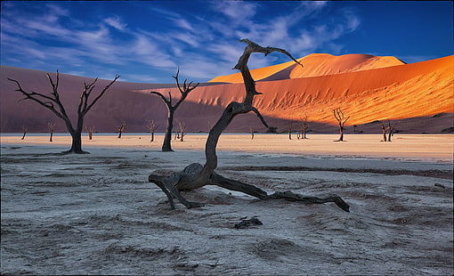 deserto, sabbia, natura, paesaggio, Sfondo HD HD wallpaper