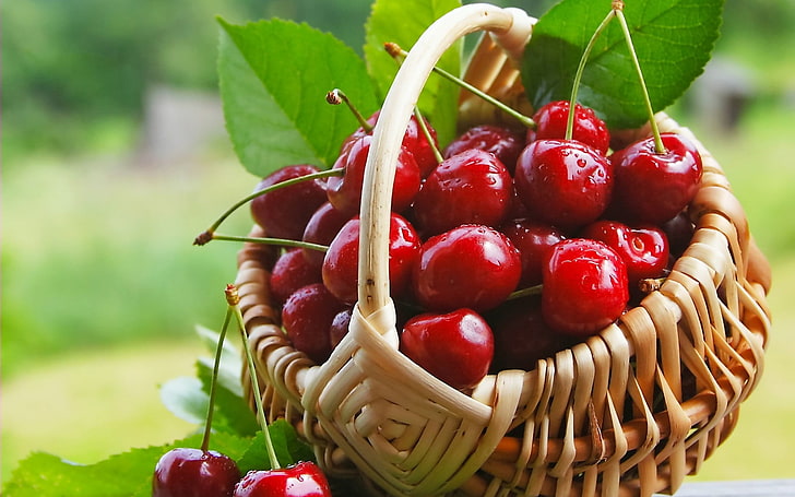 cherries, food, fruit, baskets, cherries (food), HD wallpaper
