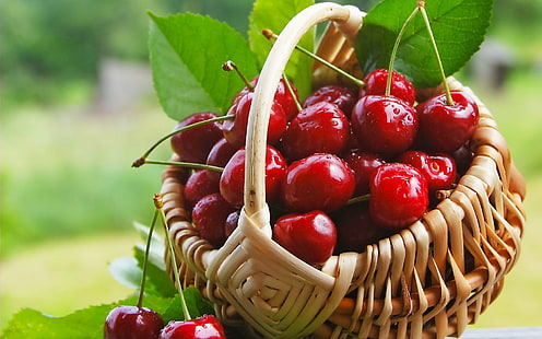 cherries, food, fruit, baskets, cherries (food), HD wallpaper HD wallpaper