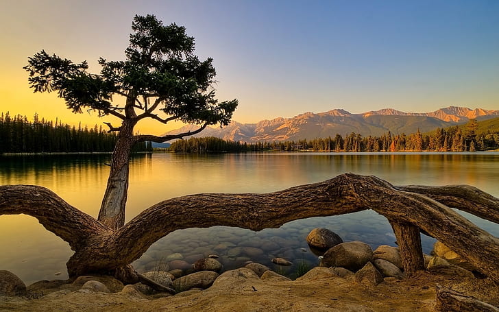 Superbe paysage d'été, plan d'eau coucher de soleil photo, arbre, lac, eau, montagnes, Fond d'écran HD
