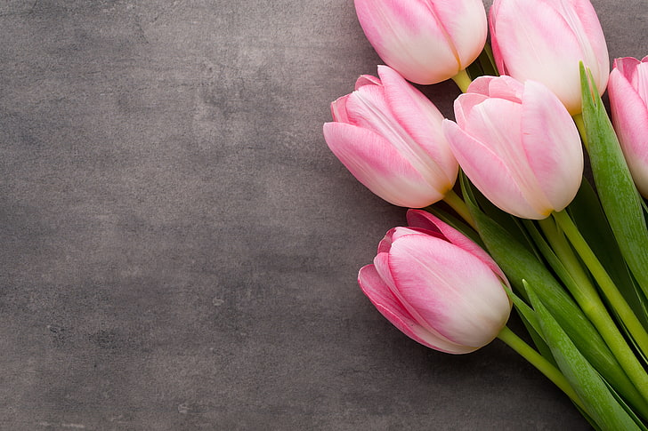 핑크 튤립 꽃, 꽃, 꽃다발, 튤립, 핑크, 신선한, 아름다운, 봄 번들, HD 배경 화면