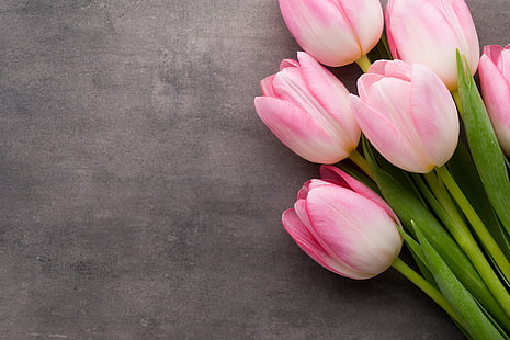fascio di fiori di tulipano rosa, fiori, bouquet, tulipani, rosa, fresco, bello, primavera, Sfondo HD HD wallpaper
