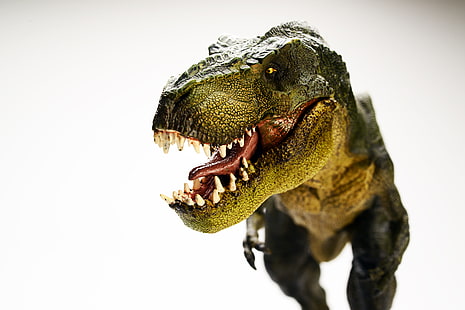 снимка отблизо на кафяв и сив динозавър T-rex, динозавър, тиранозавър, T Rex, 5K, HD тапет HD wallpaper
